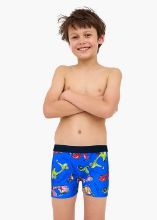 Obrázek z CTT BOX PRINT 700/155 170 